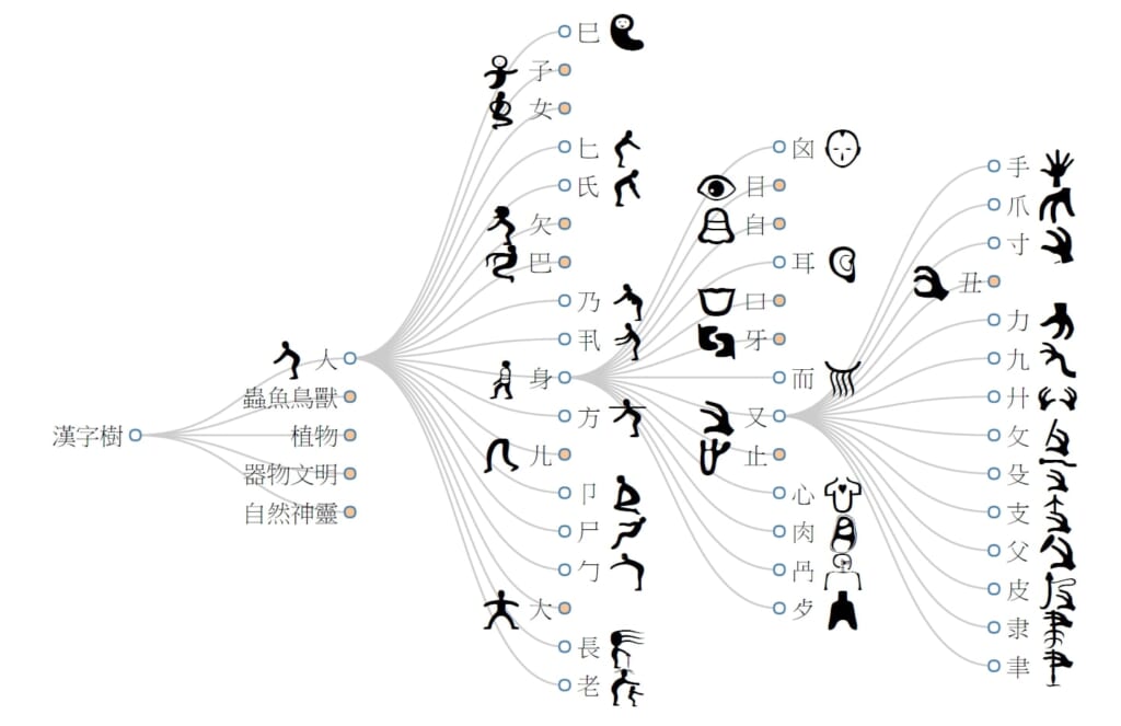 Ideogram evolution chart