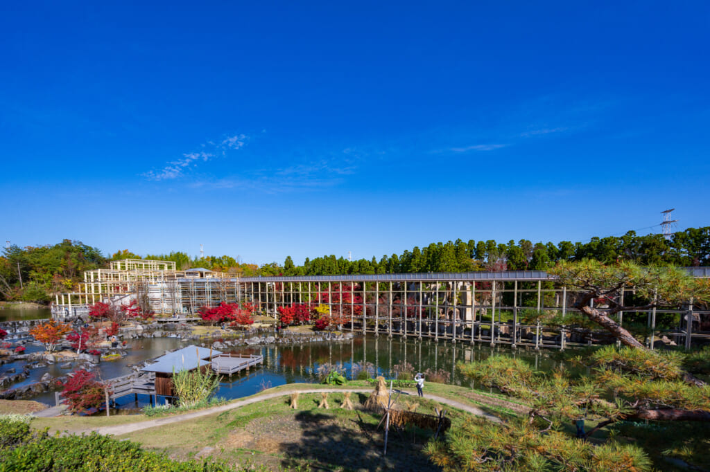 Panoramic view of Keihanna Park  near Kyoto during autumn 