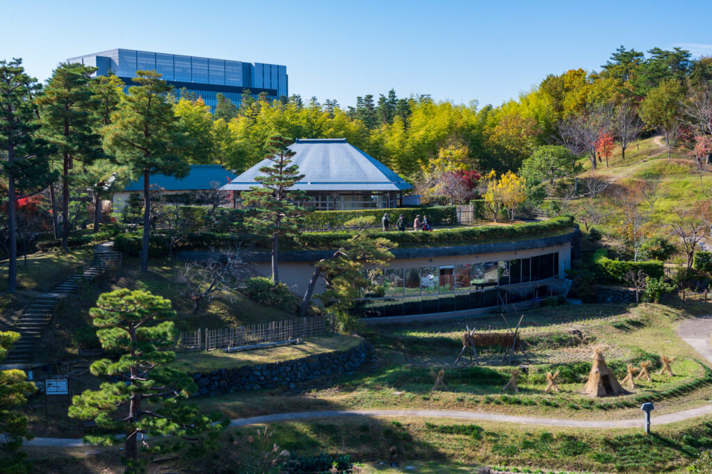 Japanese terraced rice fields in Japanese garden  near Kyoto