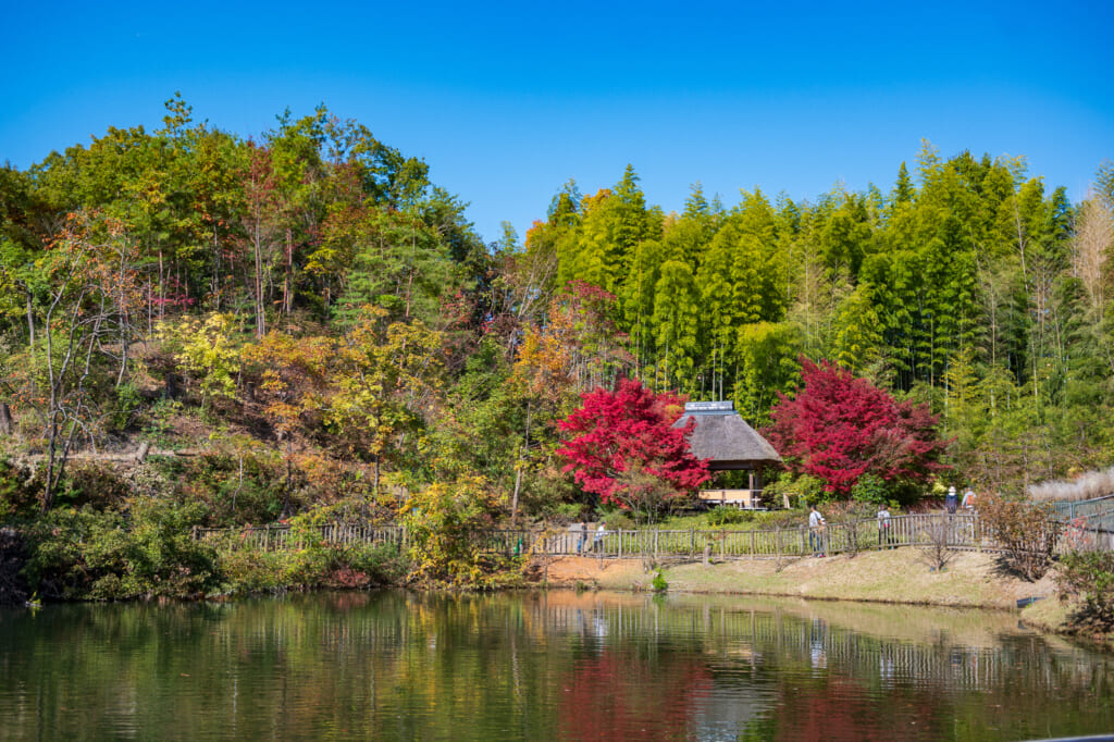 Japanese style garden near Kyoto and thatched roof structure