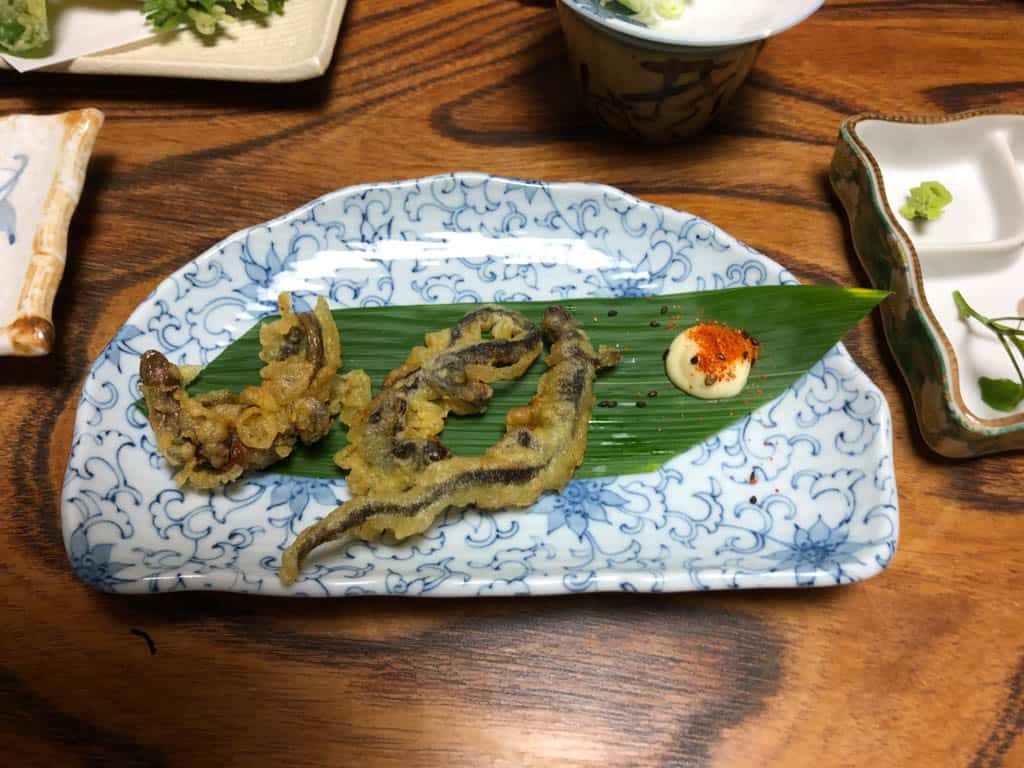 salamander tempura in japan