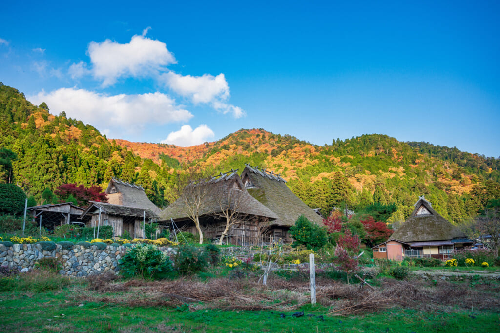 kayabuki no sato thatched roof houses in Japan during autumn