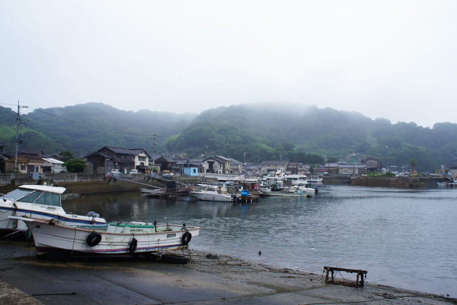 manabeshima-cat-island-top-things-to-see-do-places-to-stay