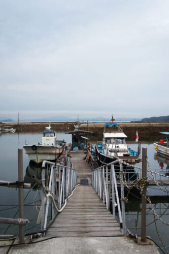 Manabeshima Cat Island: Top Things to See, Do & Places to Stay