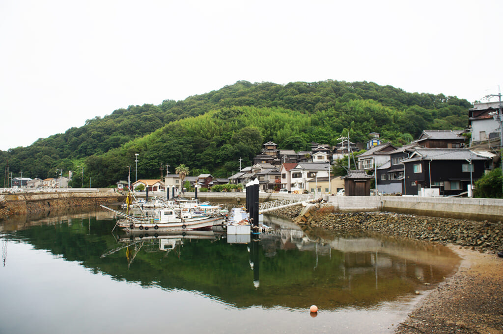 the harbour in Manabeshima, a cat island in Japan