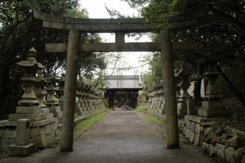 manabeshima-cat-island-top-things-to-see-do-places-to-stay