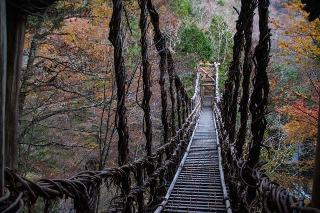 vine suspension bridge in Iya Valley, Tokushima, Shikoku