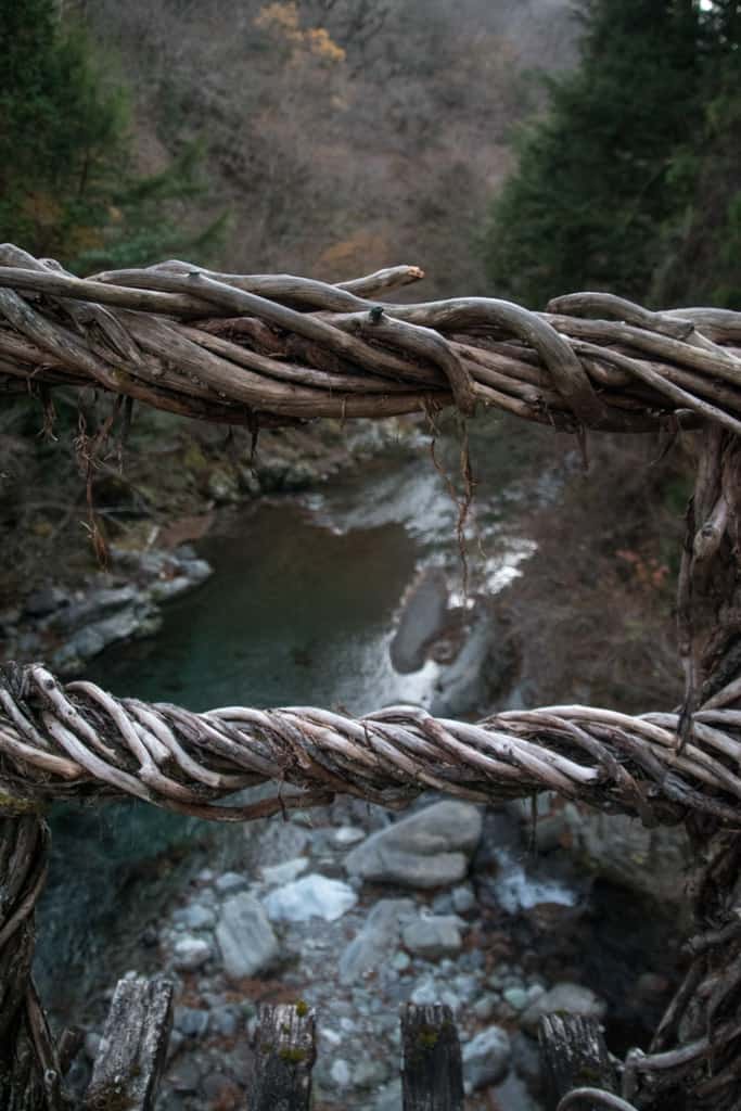 vine details of suspension bridge in iya valley, tokushima, shikoku