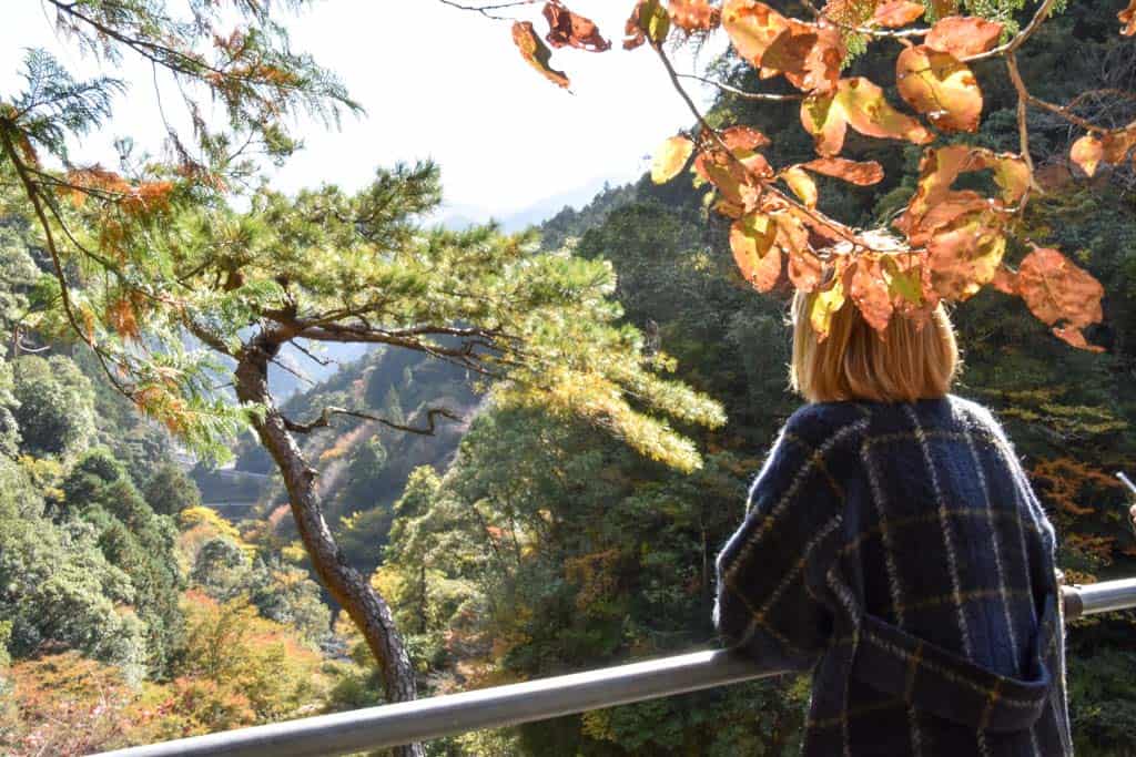 overlooking nakatsu gorge in Yusuhara, Shikoku