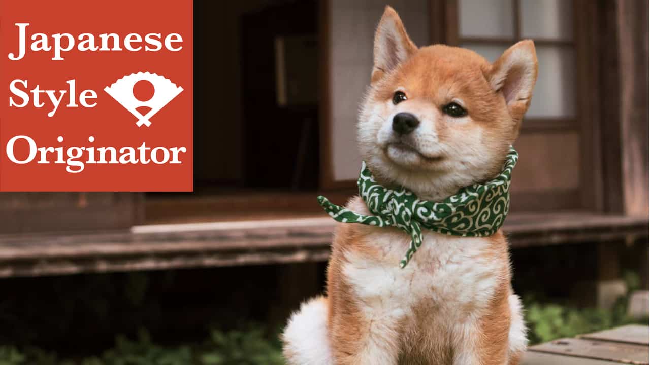 japanese programs on Netflix: mamesuke shiba dog