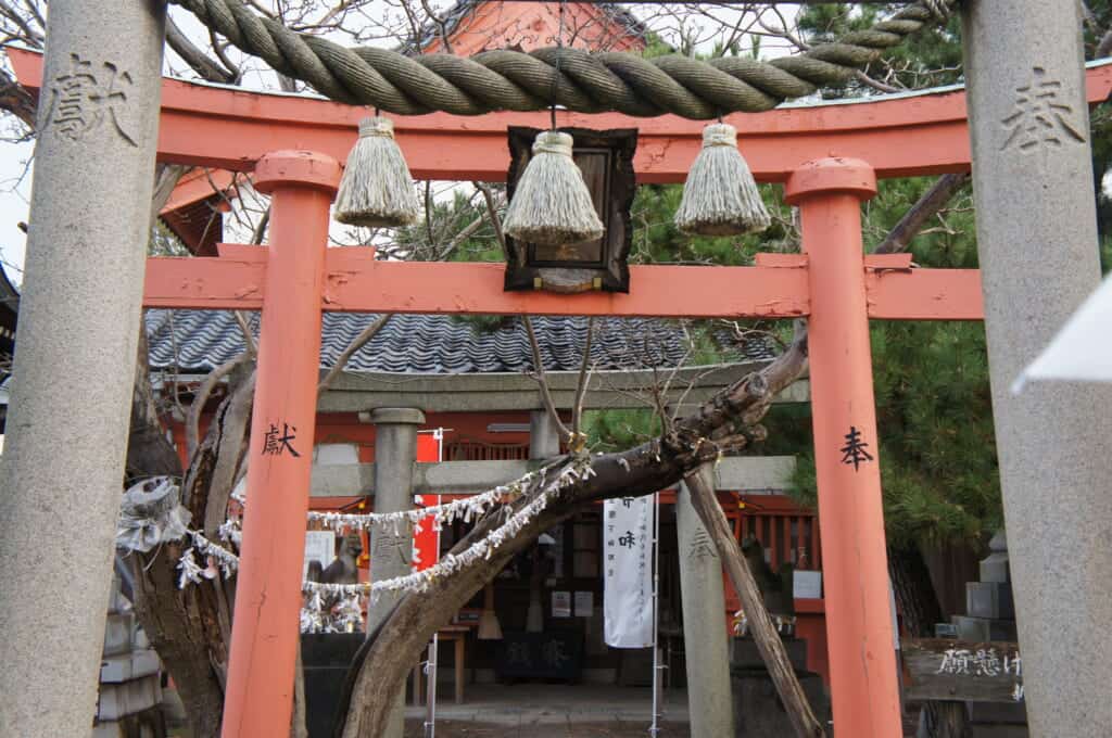 Niigata city shrine and Japanese tori gate