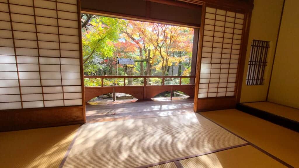 Niigata Walking Tour beautiful sunlight from a Japanese garden