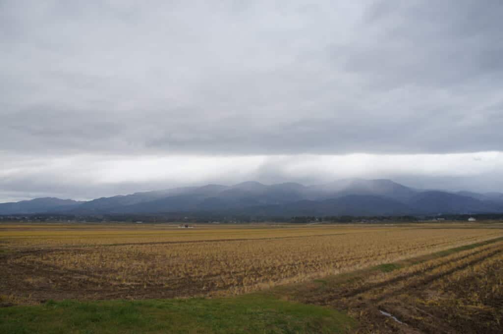 Sado Island Rice Fields and Mountains