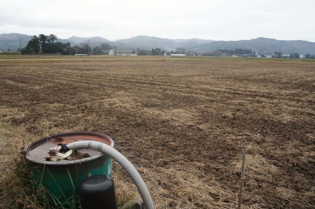 Sado Island's Japanese Rice Fields and Mountains