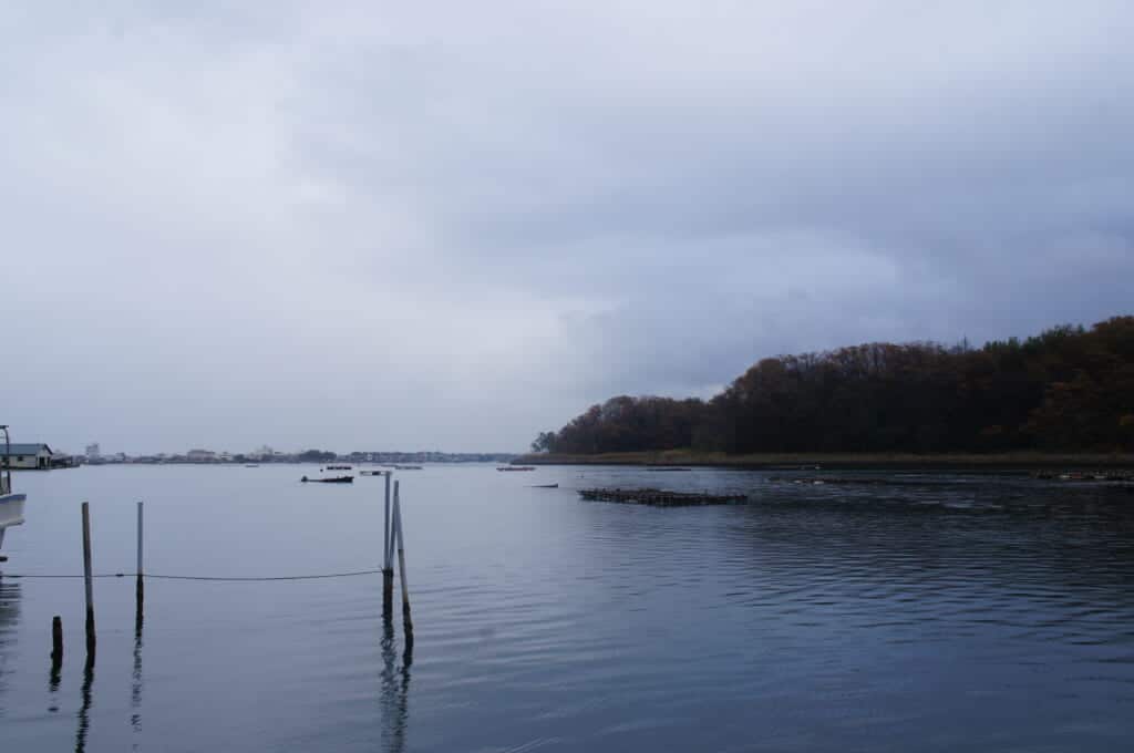 Sado Island an oyster boat sets out on Lake Kamo