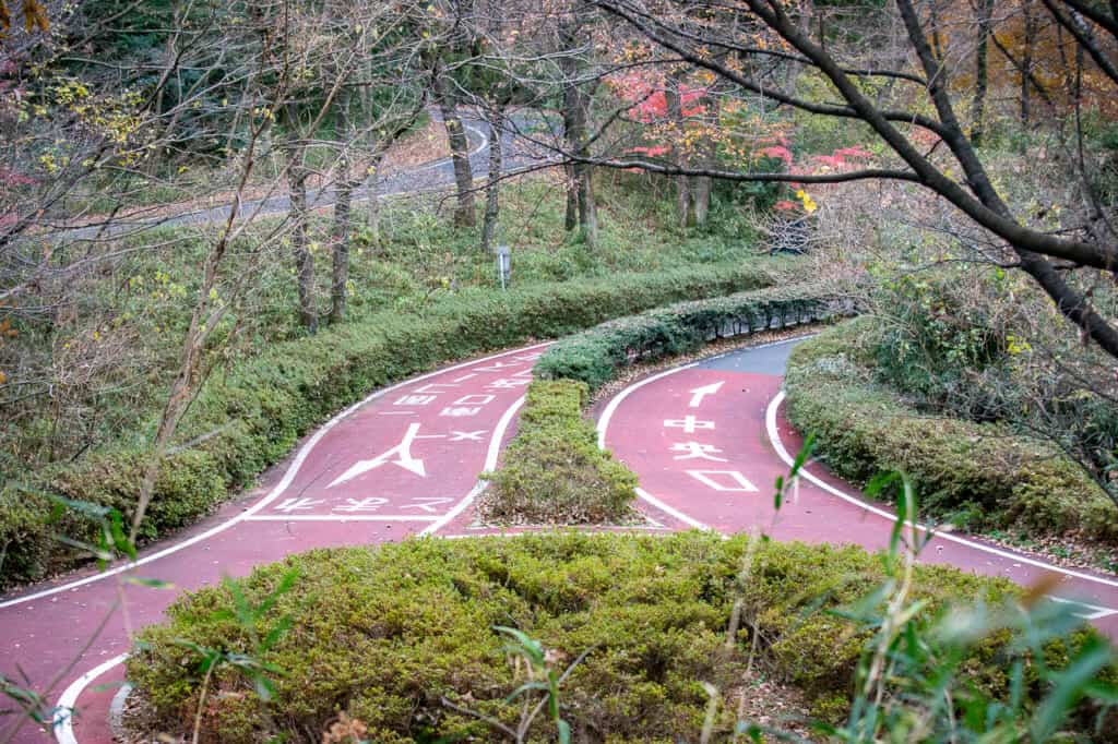 Bike trail in Shinri Koen