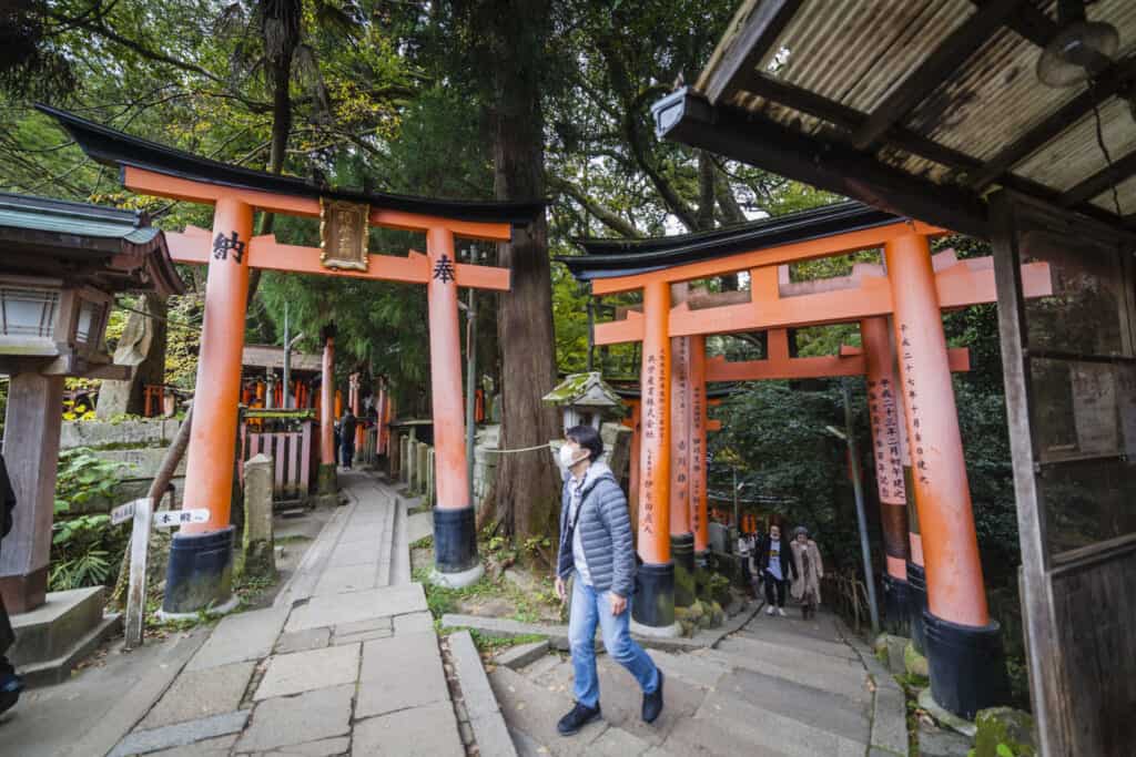 two paths at fushimi inari