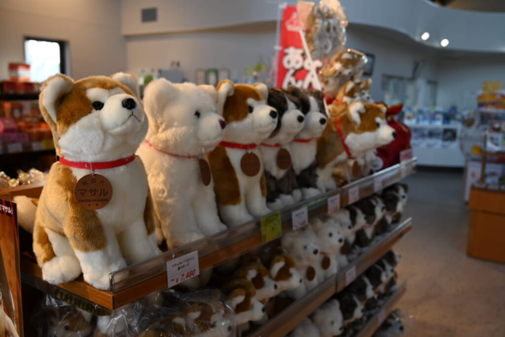 Japanese dogs, e.g. Akita and Shiba are popular motifs for souvenirs.