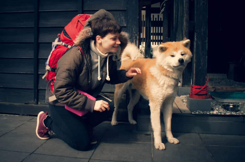 The Akita Inu Bukemaru in Kakunodate.