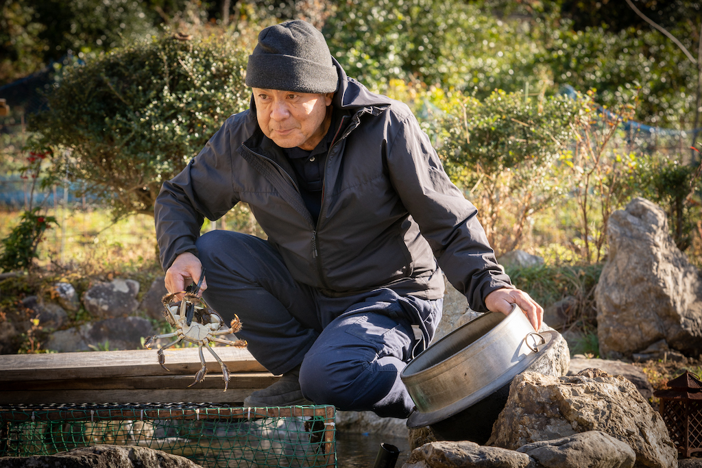 Mr. Ogura catches a crab