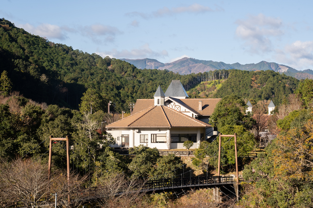 Suspension bridge and castle hotel nestled in the forest