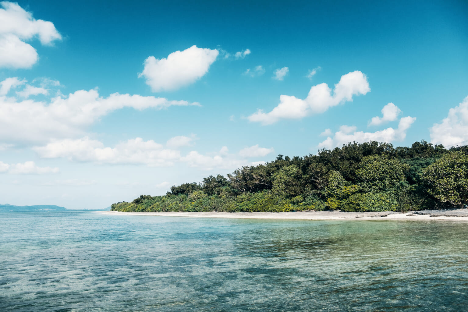 How to Spend an Okinawan Japanese New Years on Taketomi Island