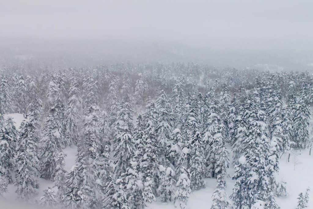 Snowy Environment Hokkaido