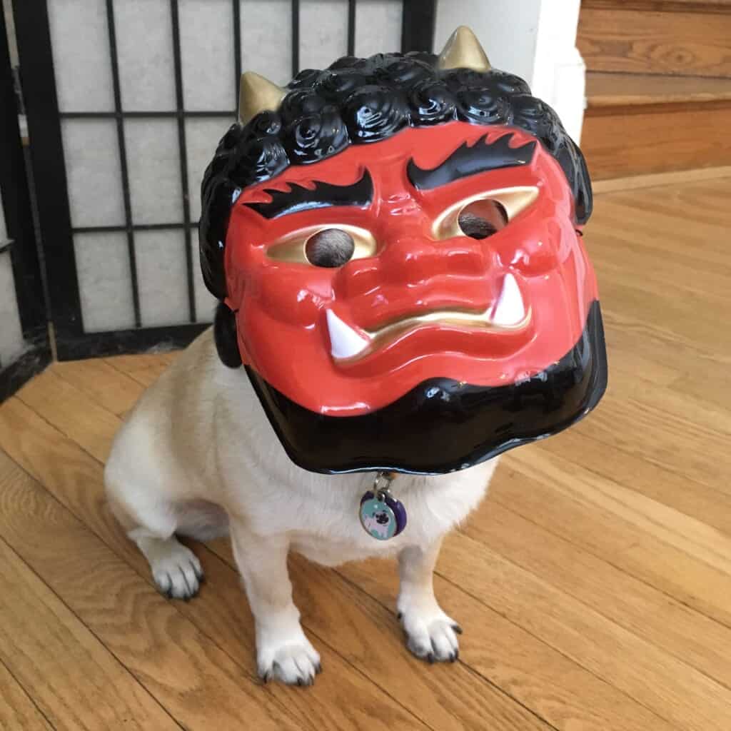 Dog with the oni mask