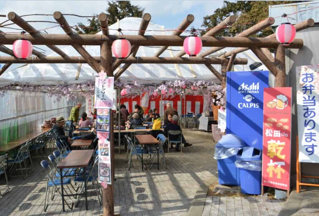 Cherry Blossom Festival in Matsuda