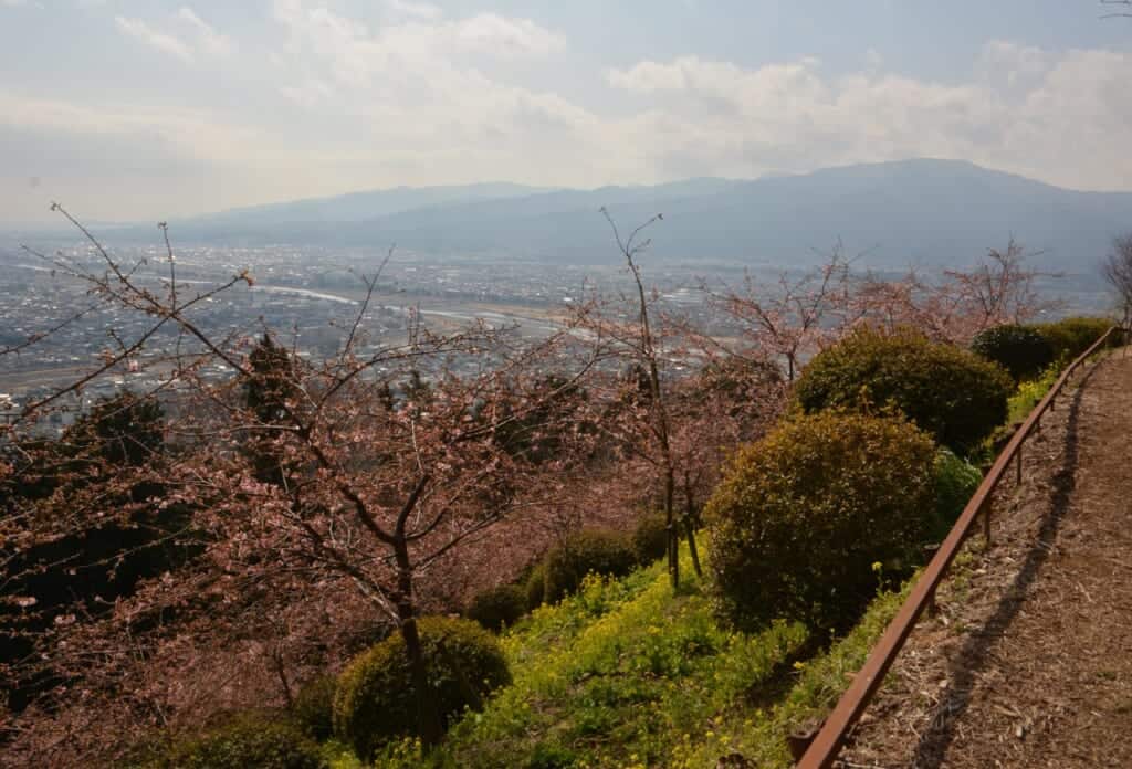 View from cherry blossoms park in Matsuda
