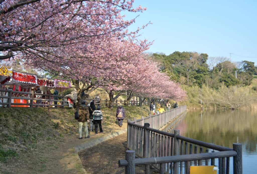 Inside the park with food stalls at Miura Kaigan