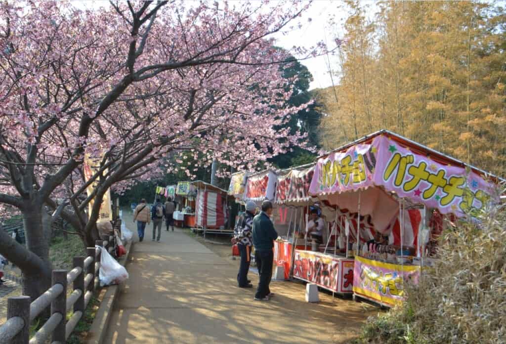 Food stands under the cherry blossoms at Miura Kaigan