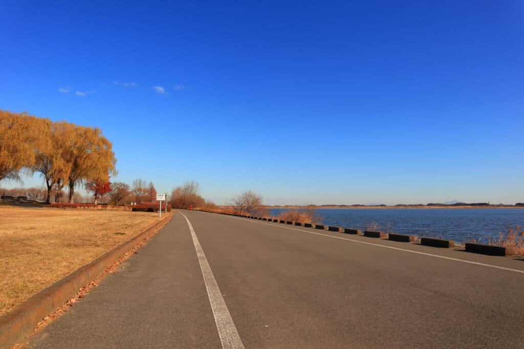 Cycling road along the Watarase reservoir in Saitama