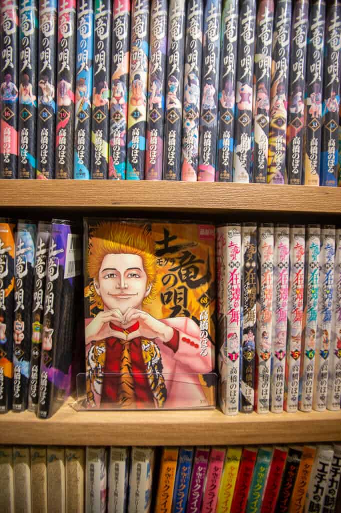 A detail of one of the thousand mangas in a manga cafe