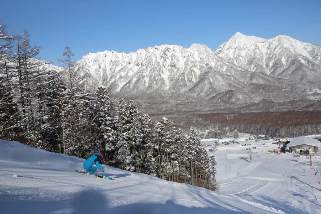 trees covered with snow at Togakushi ski resort in Nagano