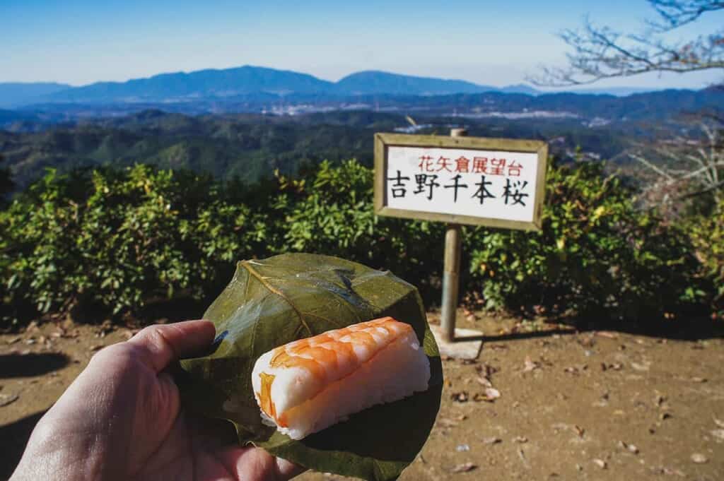 Hand holding kakinoha sushi in persimmon leaf in front of mountain view