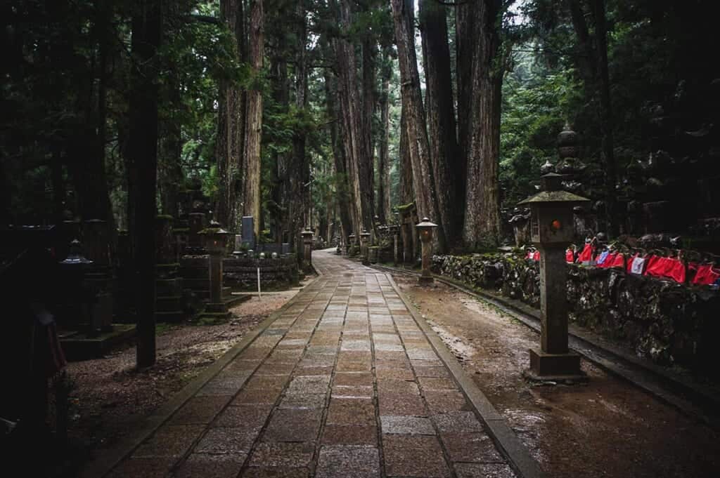 Path through Okuno cemetery in Koyasan: lanterns and jiso among cedars