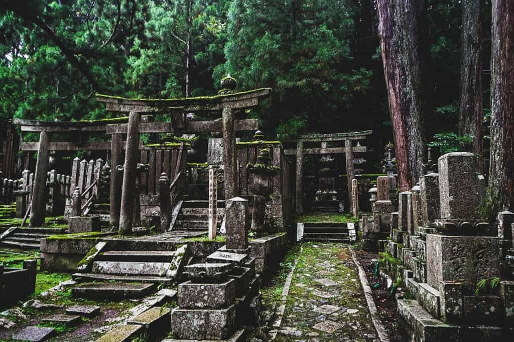 Torii and tombstones at Okuno shrine in Koyasan