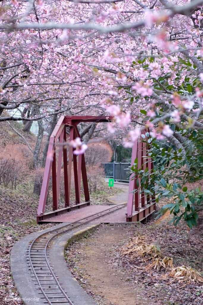 The train tracks of the furusato Train