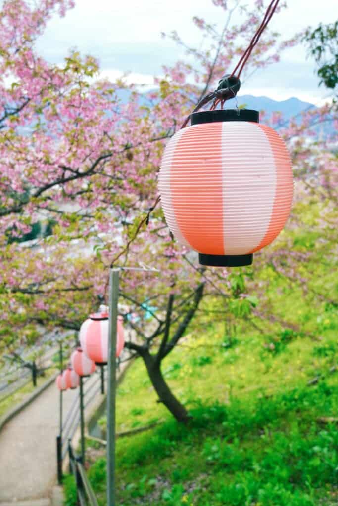 Lanterns showing Matsuda Cherry Blossom Festival's way