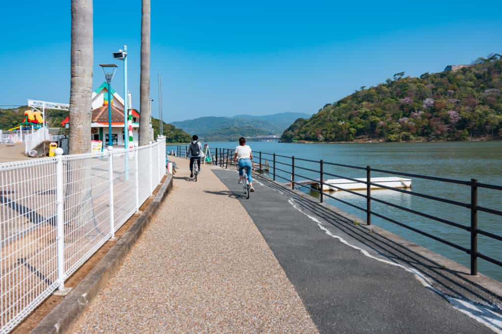 cycling around hamana lake in shizuoka