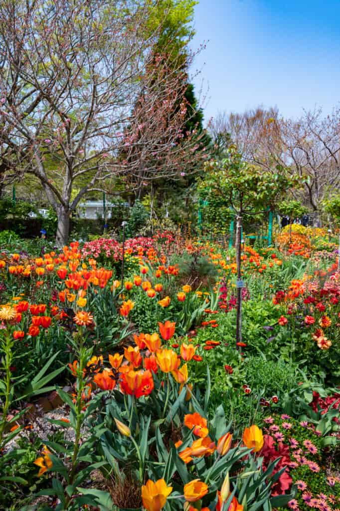 display of orange and red flowers at hamanako garden park