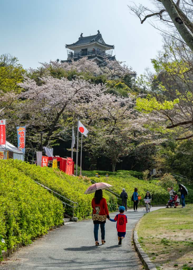 hamamatsu castle park in spring with cherry blossoms