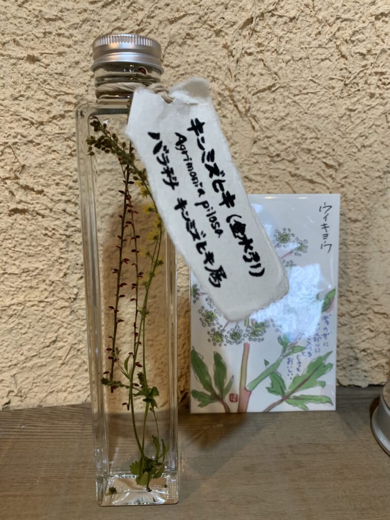 medicinal herb sample in glass jar from Hida Takayama