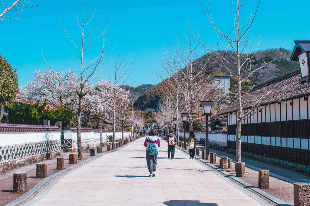 Tonomachi Street in Tsuwano is large and lined with former Samurai residences and houses 