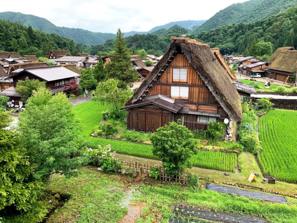 Traditional Japanese thatched house in green rural landscape in Gifu, Japan