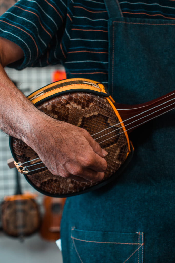 detail of a sanshin, a traditional Okinawan instrument in Japan