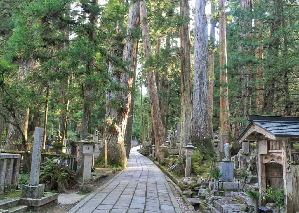 Japanese cemetery in Mount Koya