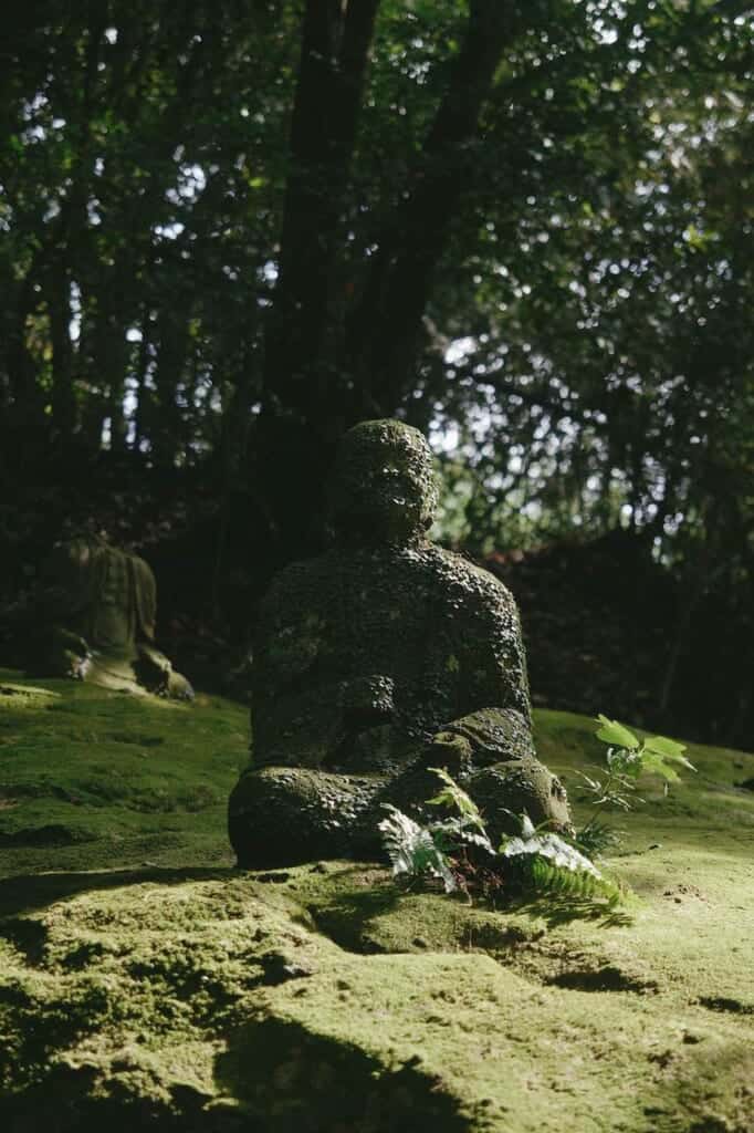 stone statue of arhat, covered with moss during mountain hike in JApan