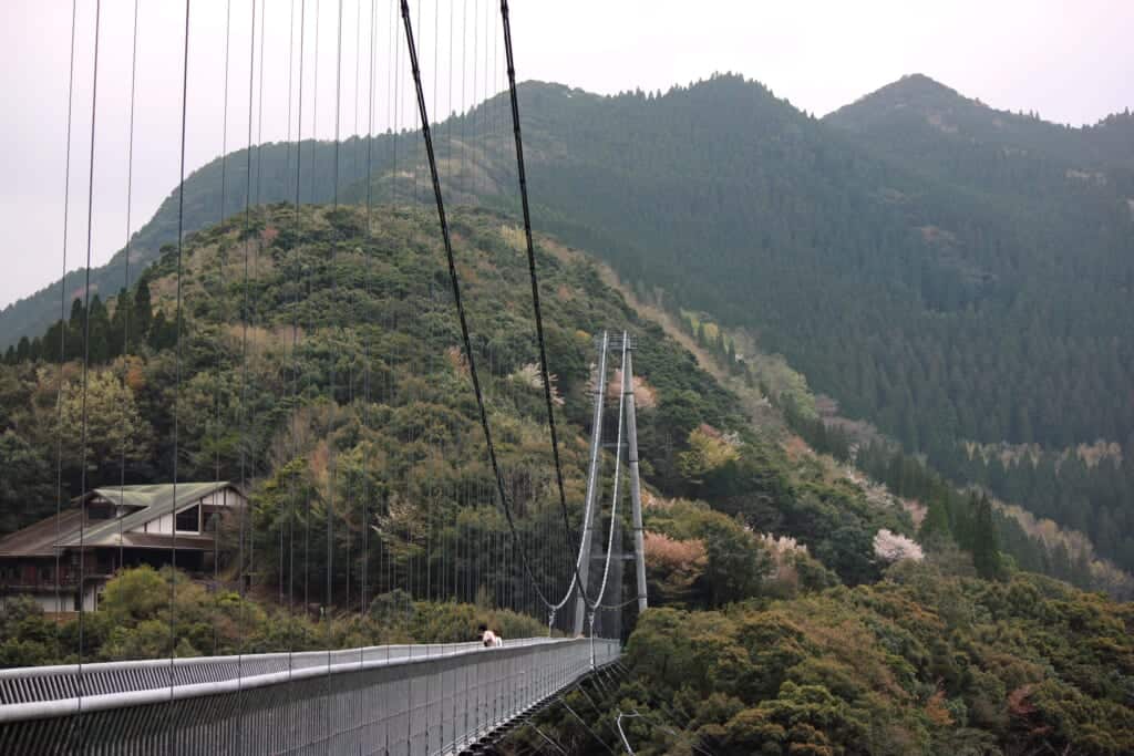 the Teruha Suspension bridge over the evergreen forest in Miyazaki